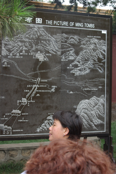 IMGP1968